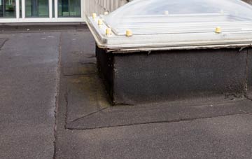 disadvantages of Harbourneford flat roofs