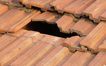 roof repair Harbourneford, Devon